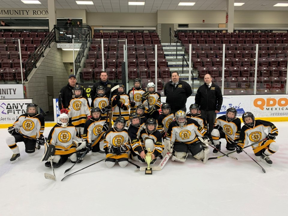 Atom Tier II Bruins