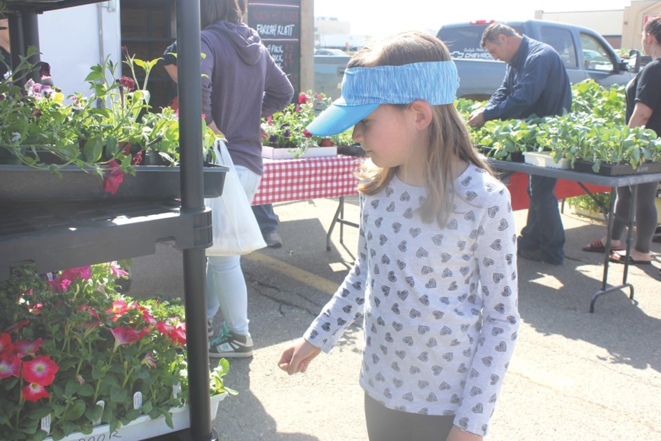 Estevan Farmers Market