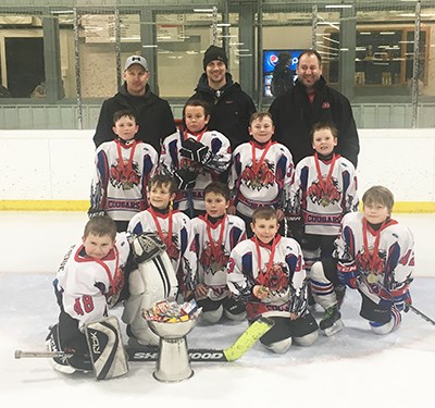 Novice Cougars