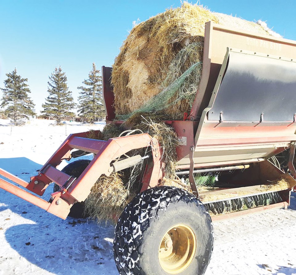 Bale shredder