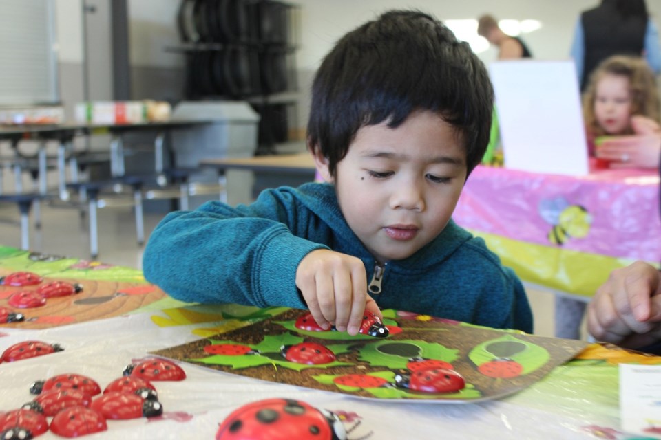 Mark Albete matches up the ladybugs at the Ladybug Counting station. Photo by Darcie Khounnoraj