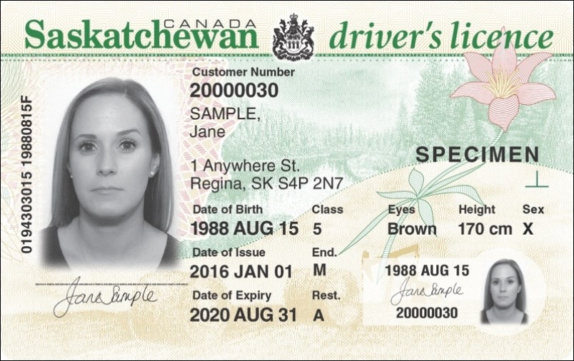Drivers Licence
