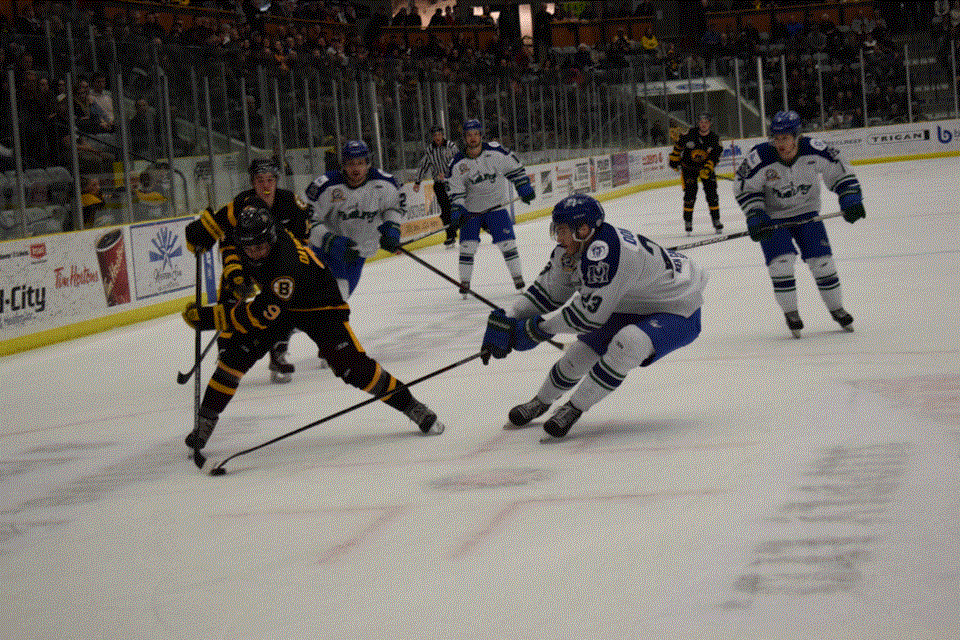 Bruin Game 3 pic