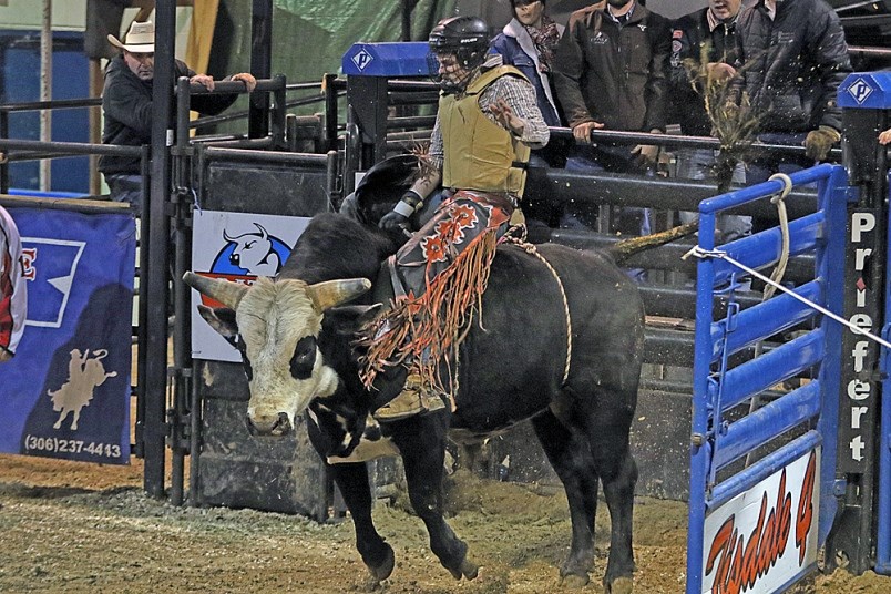 Tisdale Rambler Rodeo