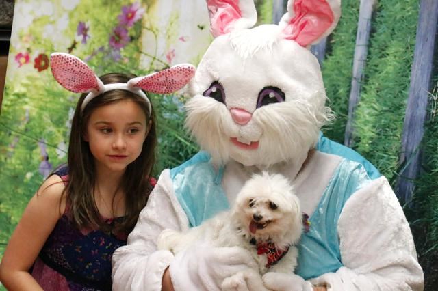 Easter bunny and a dog