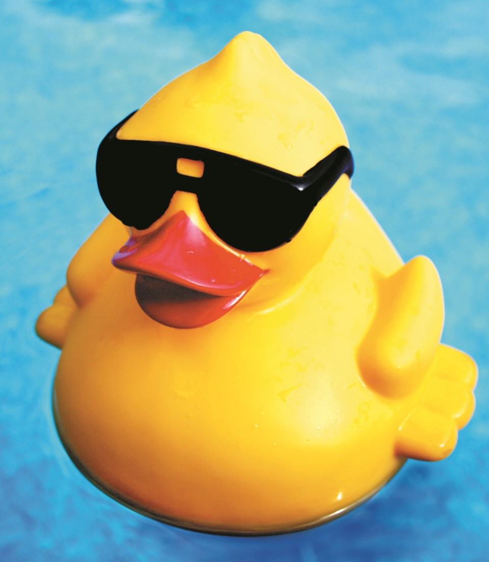 Duck Derby