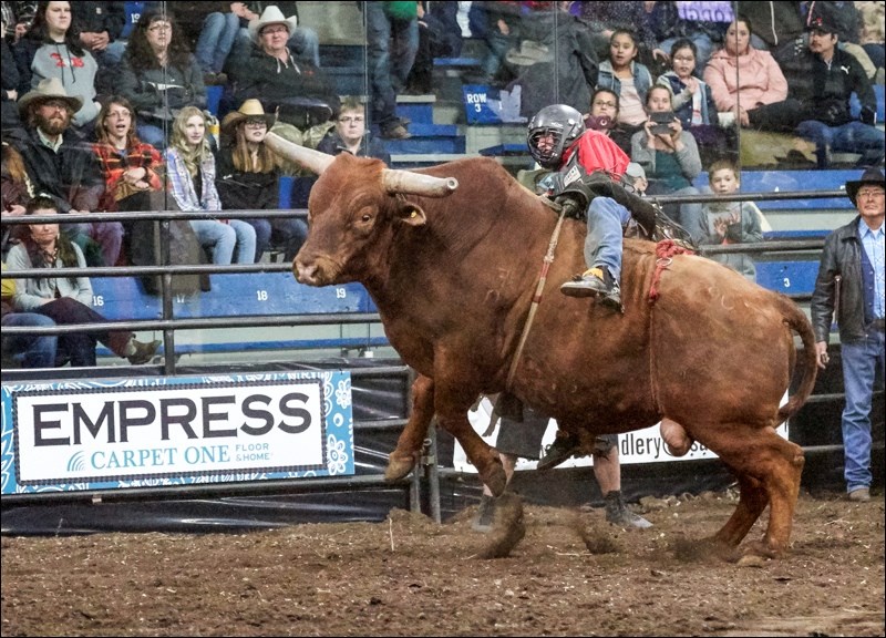 49th Annual Kinsmen Indoor Rodeo _3