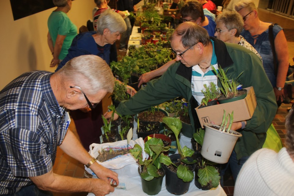 Plant sale