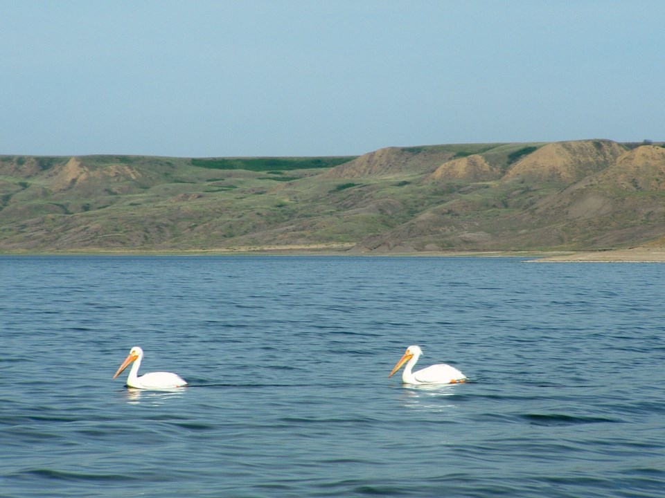 Lake