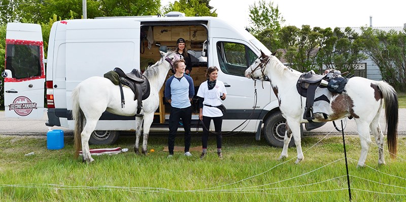 Horses across Canada