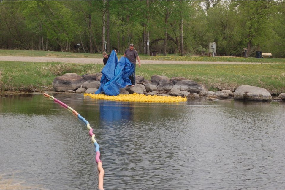 Dean Serdachny, left, and Tyler Blender dumped the plastic ducks into the Assiniboine River during the annual Sturgis Kinsmen duck derby on June 2. See story and more pictures on Page X.