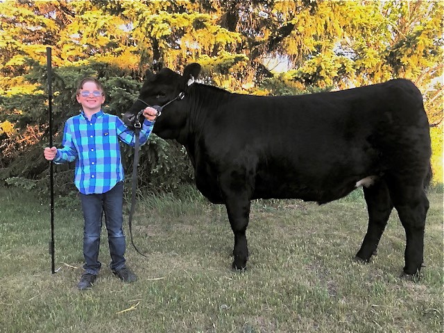 Nine-year-old Gage Goetz auctioning a steer to help children's hospital -  