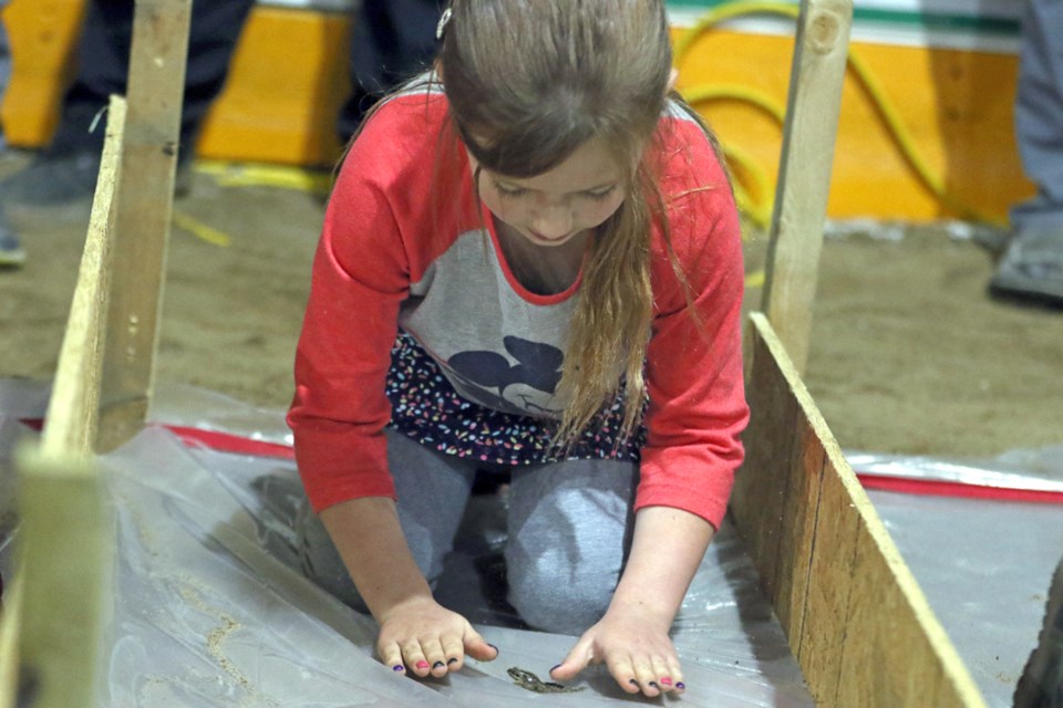 Emeillia Pasitney encourages her frog during the frog races at the Lake Lenore Heatwave on June 22. Photo by Devan C. Tasa