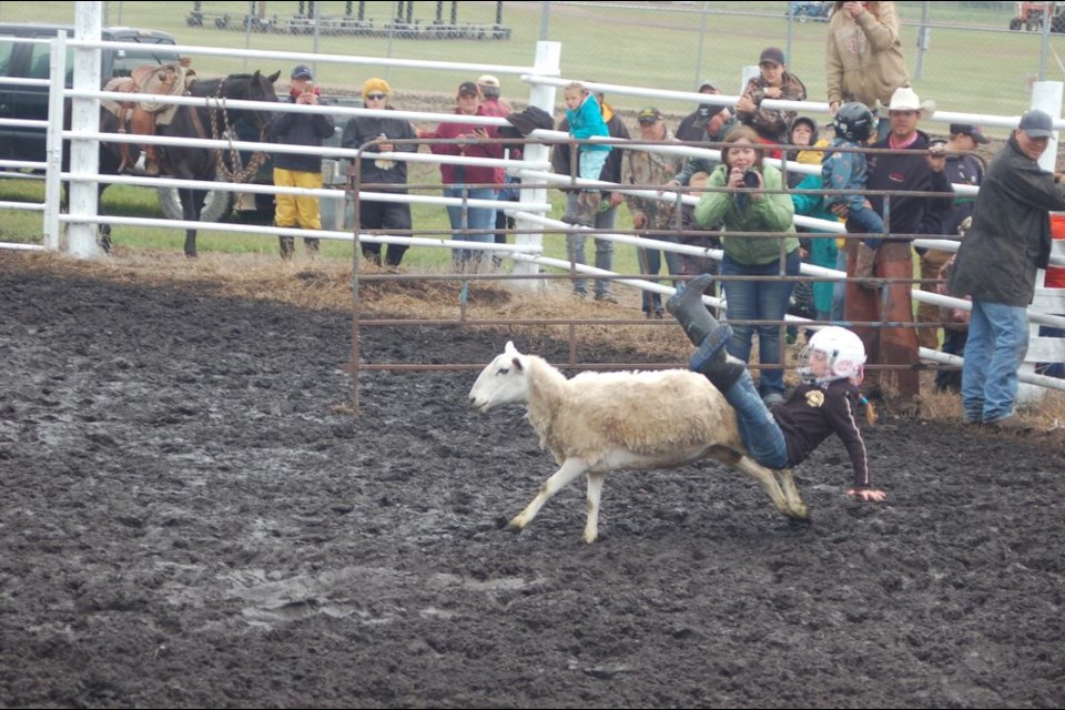 Young rider about to hit the mud in Sturgis Jade Beatty of Sturgis could not hang on to the sheep during the mutton busting competition at the Sturgis Sports and Rodeo held on June 22 and 23.
