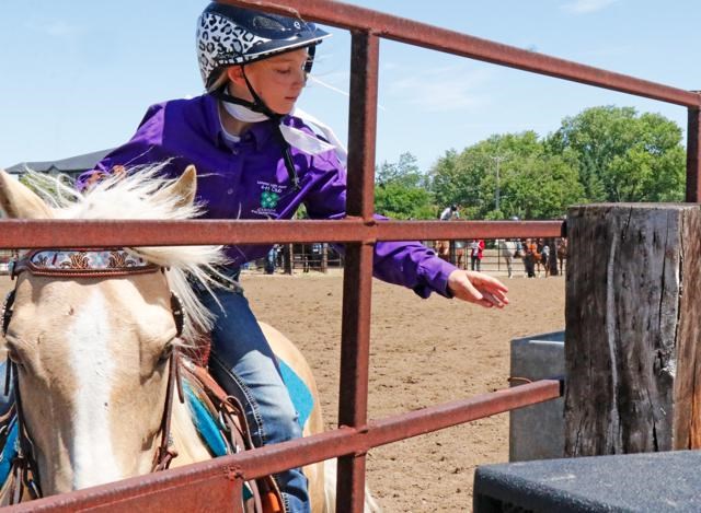 4H horse show-mail delivery