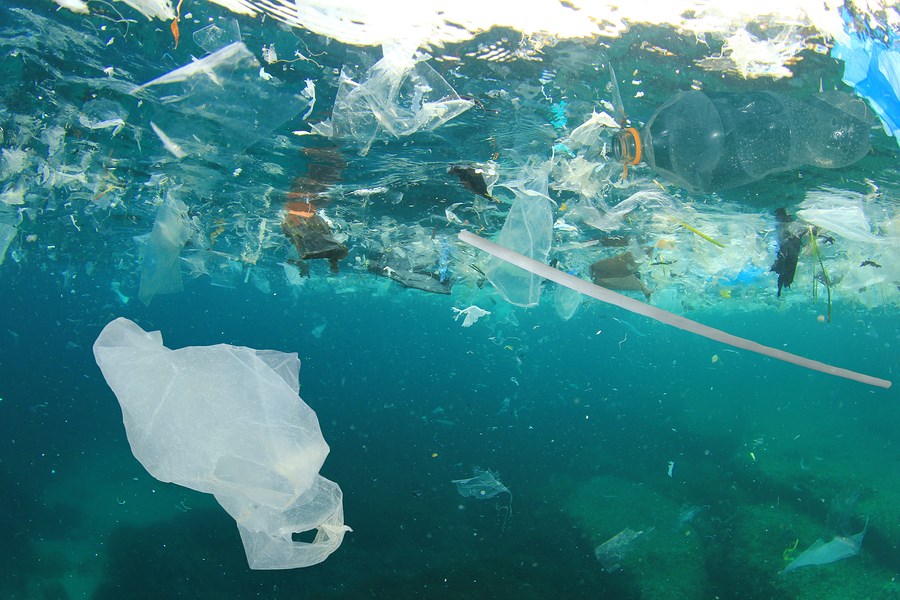 plastic bag