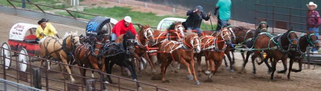 Chuckwagons