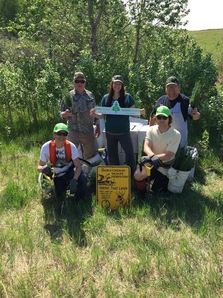 At a site about 10 kilometres north of Veregin near the Assiniboine River a total of 20,000 saplings were planted June 7, 8 and 9 in a program jointly sponsored by the Saskatchewan Wildlife Federation and Tree Canada. At work planting, from left, were: (standing) Louis Zawislak of the River Ridge Fish and Game in Canora, Ashley Gilbert, supervisor of the planting, and Doug Lapitsky of River Ridge, and (front) Jody Whiteduck and Cody Genie, who are planters.