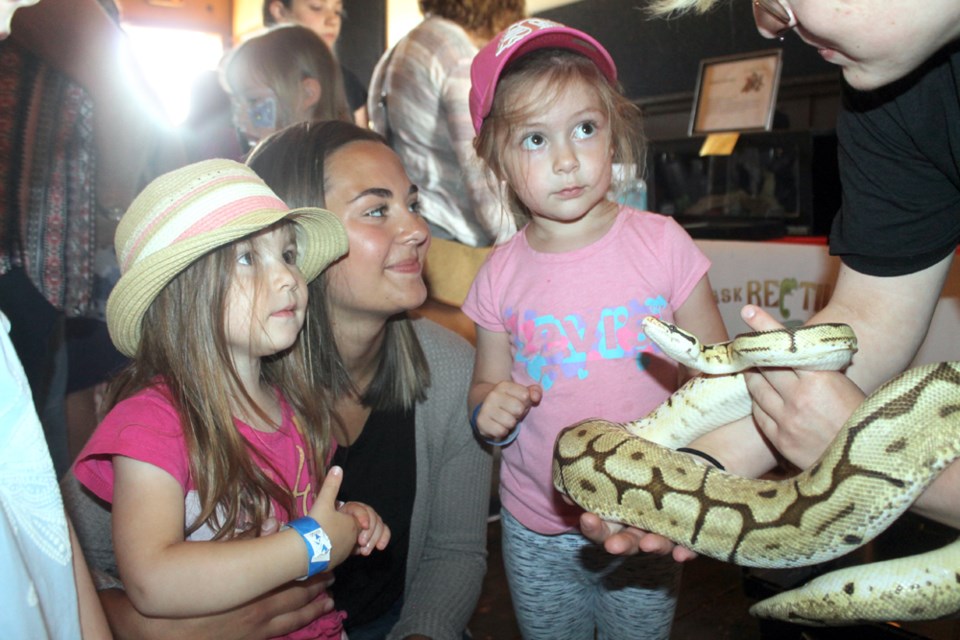 From left, Lumi Dracea, Sara Samida and Sara Glass meet a ball python that’s on display at the Falkon Theatre as part of the Rockin’ the Square street fair in Tisdale on July 5. Photo by Jessica R. Durling