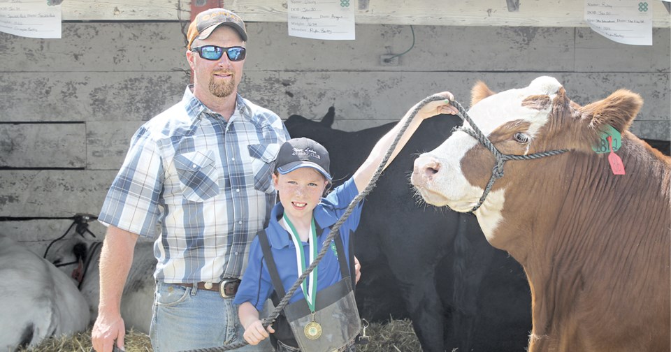 4-H Beef Streer