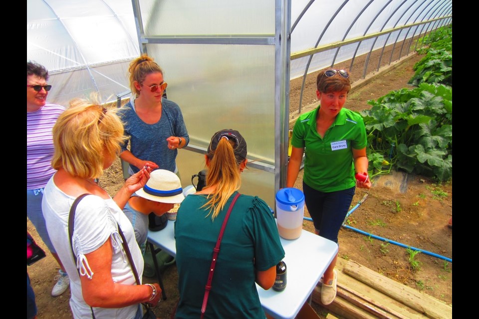 Cara Drury (green shirt) doles out drink samples of a chicory-infused coffee drink, highlighting the diversity of new crops being explored at CSIDC in Outlook.