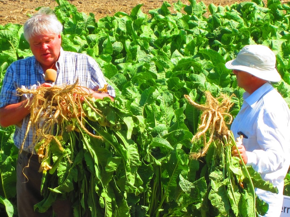 Bold Varieties ‘Cropping Up’ at Irrigation Centre_3