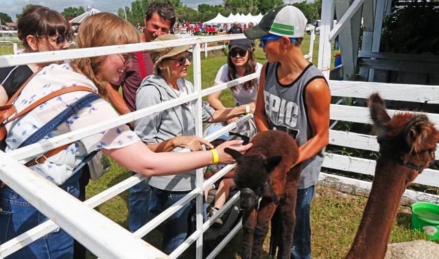 Creelman Fair