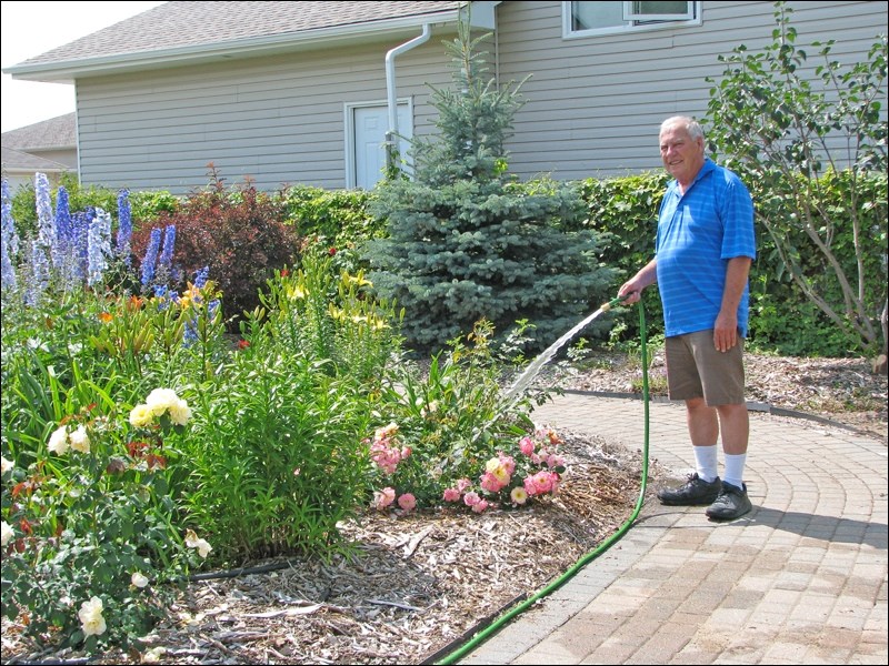 Volunteer Paul Craig taking care of the watering at the Battleford Memorial Rose Garden Sunday.