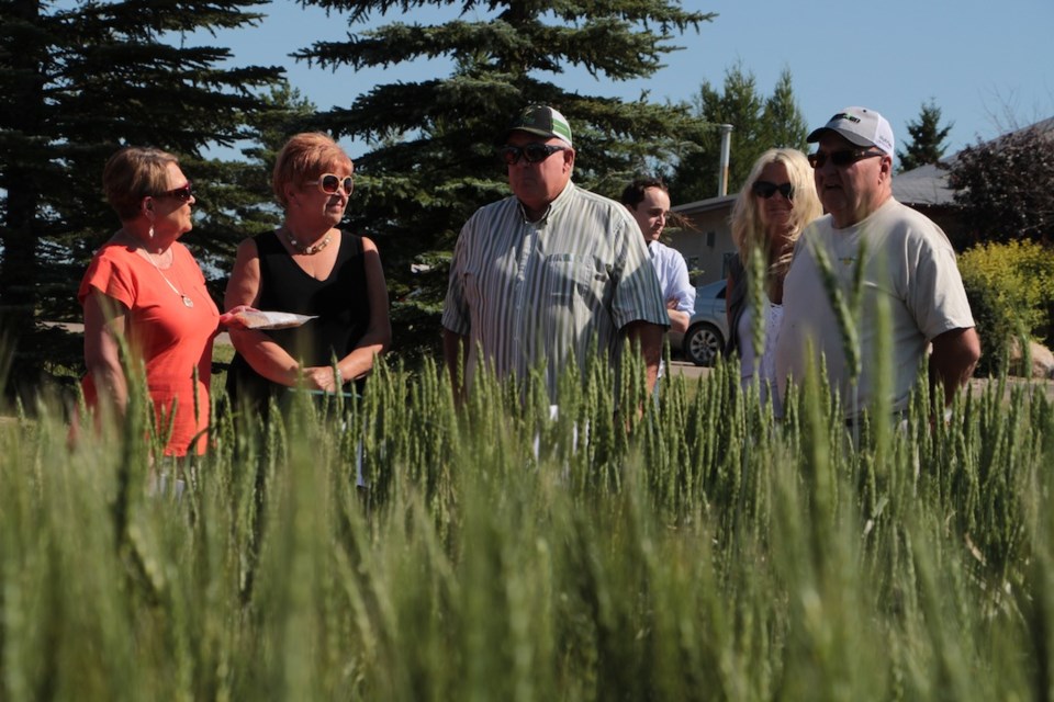 Talking crops with Jim Gorman (center).