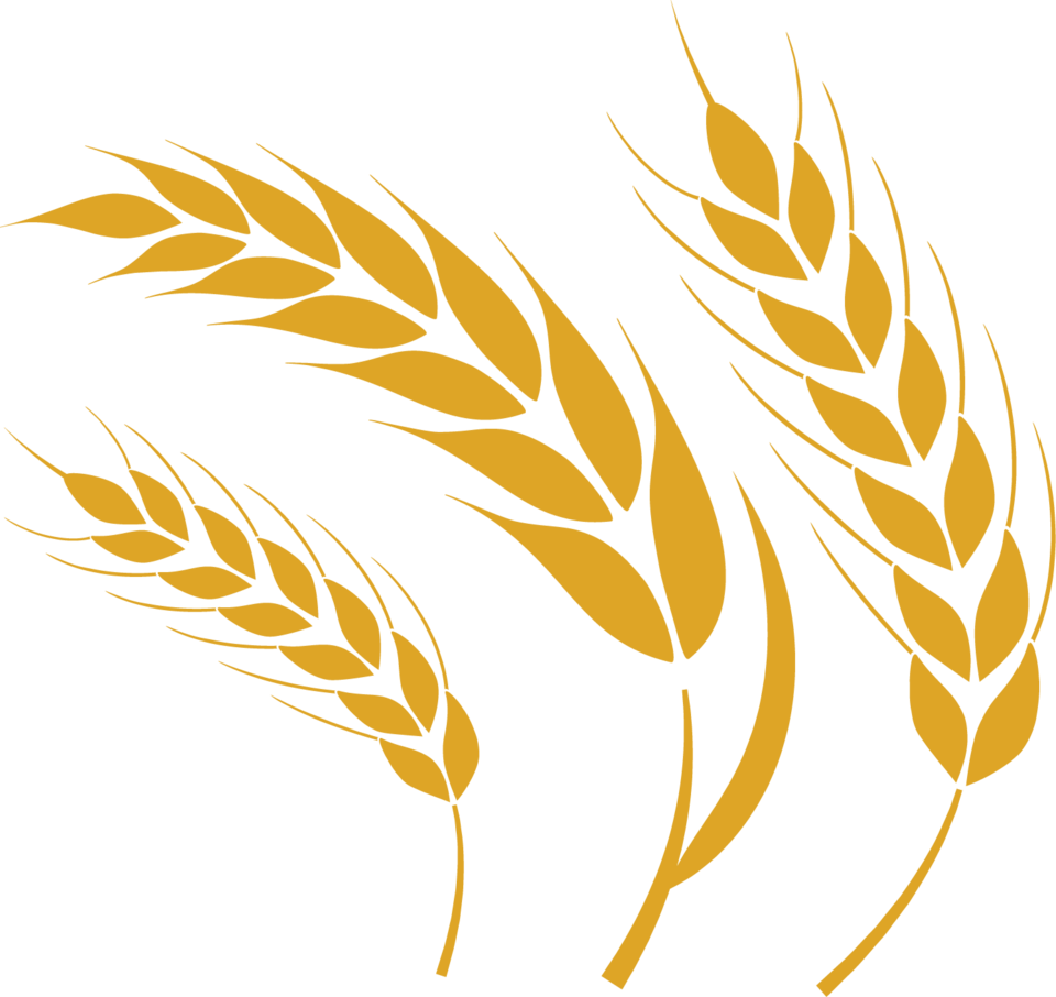 wheat festival