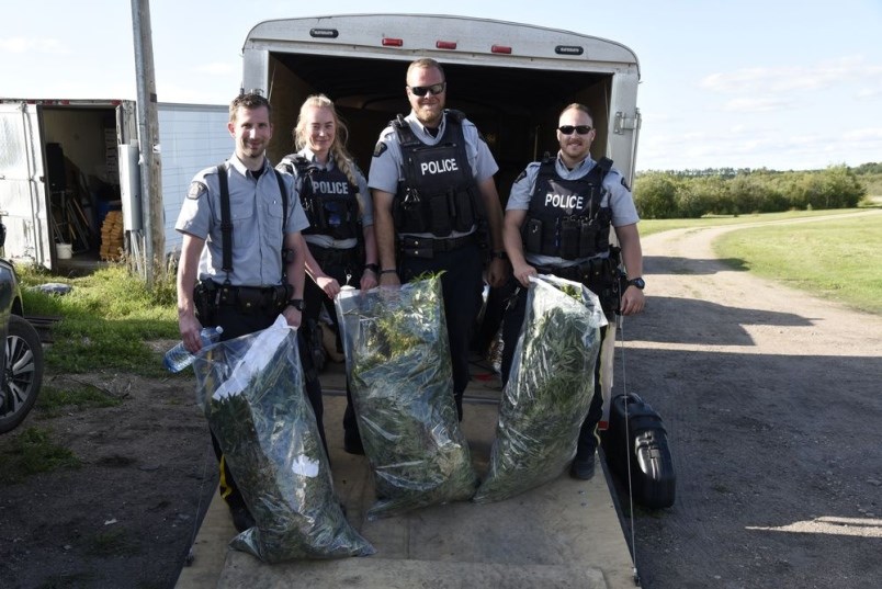 Canora RCMP officers seized growing equipment and 500 marijuana plants at the Tadmore operation. From left, were: Cst. Matt Walker, Cst. Kari Pettinger, Cst. Rob Gatenby, and Cst. Gerrit Wensink.