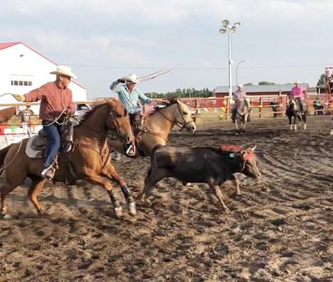 Arcola’s Ralph French and Doug Moore of Redvers took top honors in the team roping event at the Arcola Rodeo held Aug. 9.