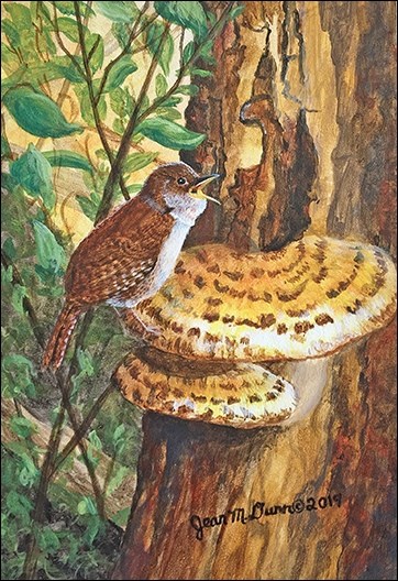 “A Little Song: House Wren” by Jean M. Dunn