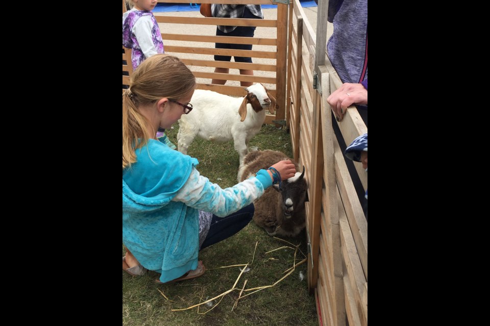 Kids were able to intermingle with the animals at the petting zoo during Carlyle Fun Dayz.