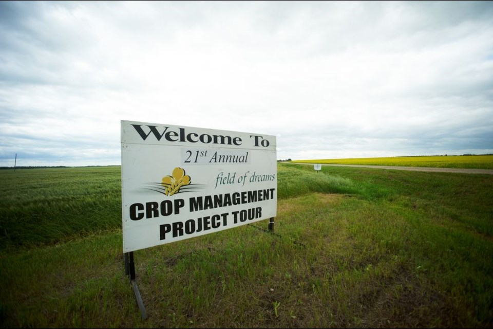 The Field of Dreams sign welcomed visitors to the annual field day at Lindgren Farms near Norquay on July 25, when growers were updated on the latest in high-yield wheat, canola and pea agronomy.