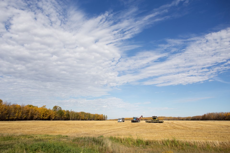 Harvest