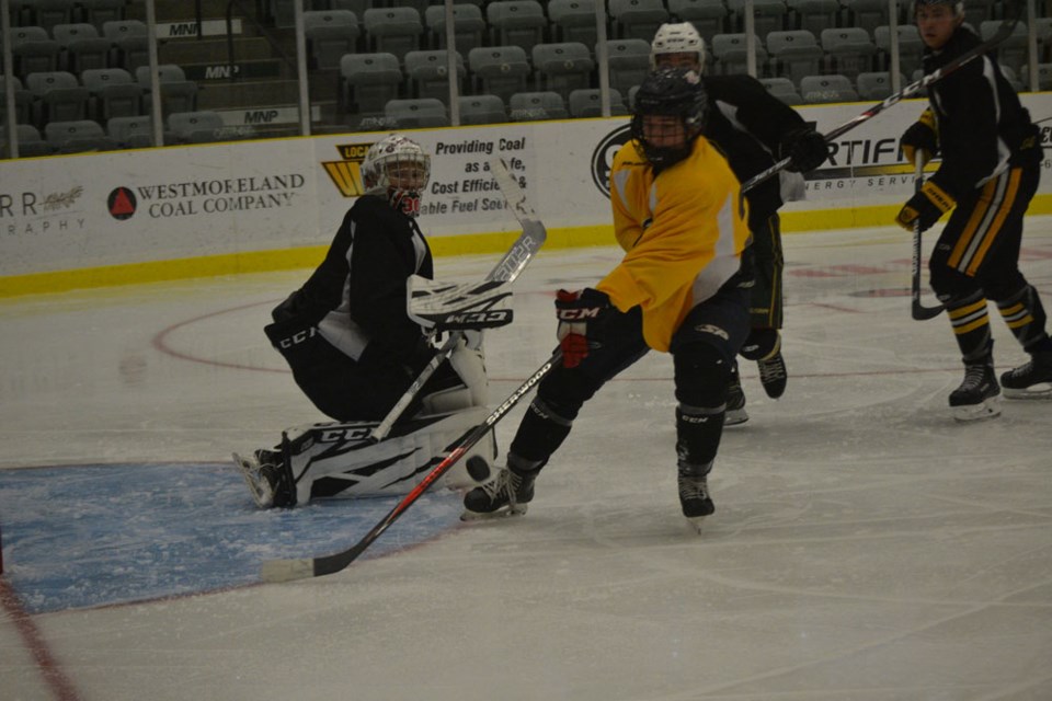 Bruin Camp