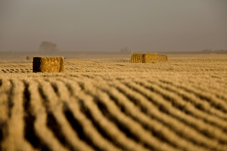 Harvesting