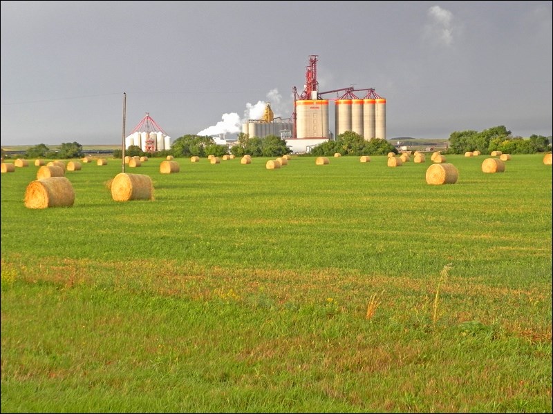 These elevators create a great background for the multiple bales in this field along Highway 21 Sout