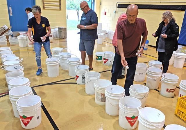 Rotary Club ball sorting