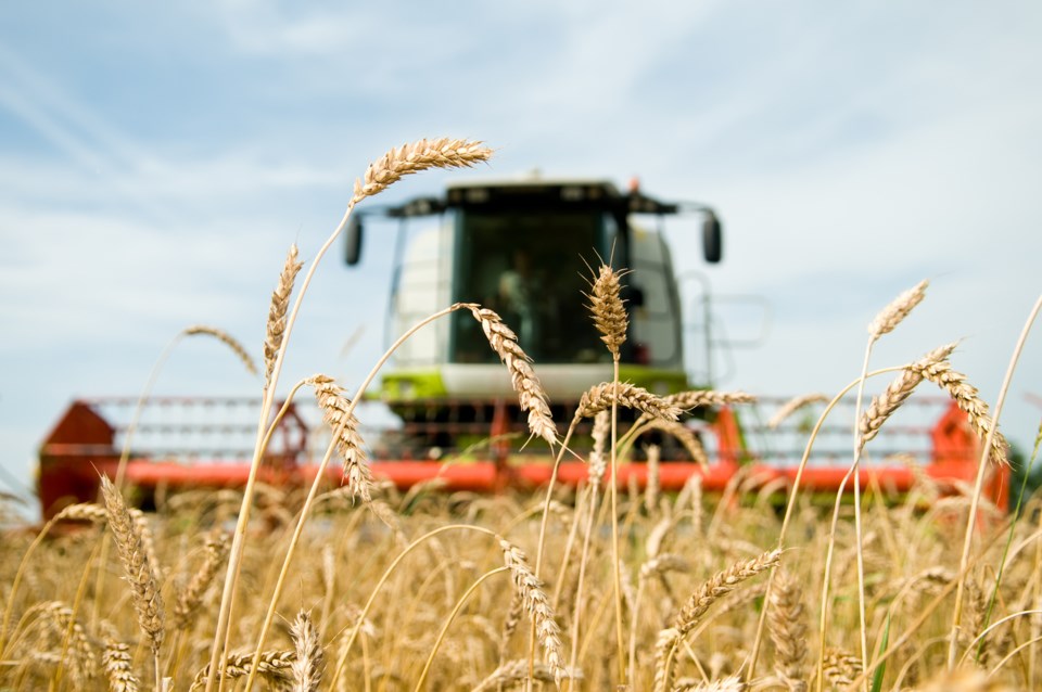 Harvest