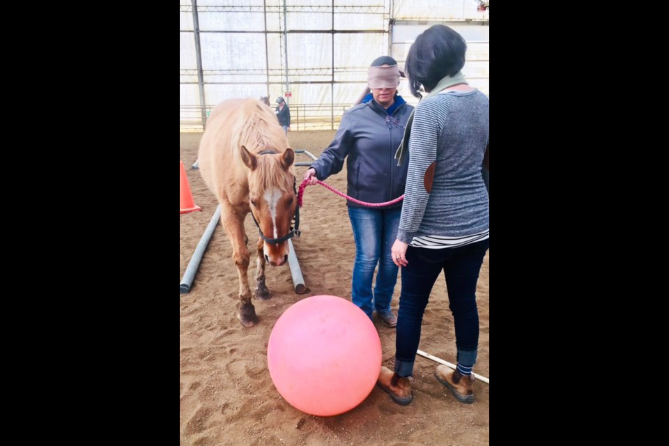 A student leads her horse blindfolded while her teammate gives direction during an Equine Assisted Learning course.