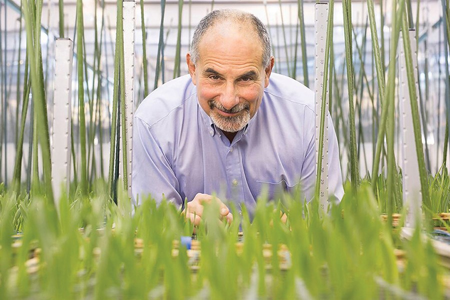 Leon Kochian is the Canada Excellence Research Chair in Global Food Security and Associate Director,
