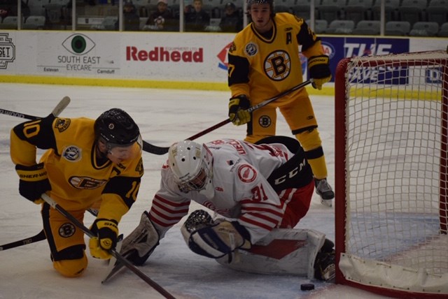 Bruins Red Wings pic