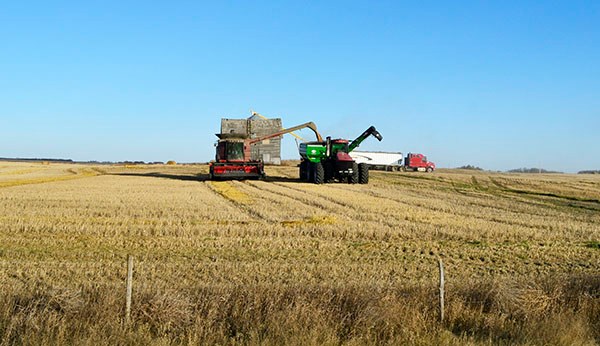 harvest