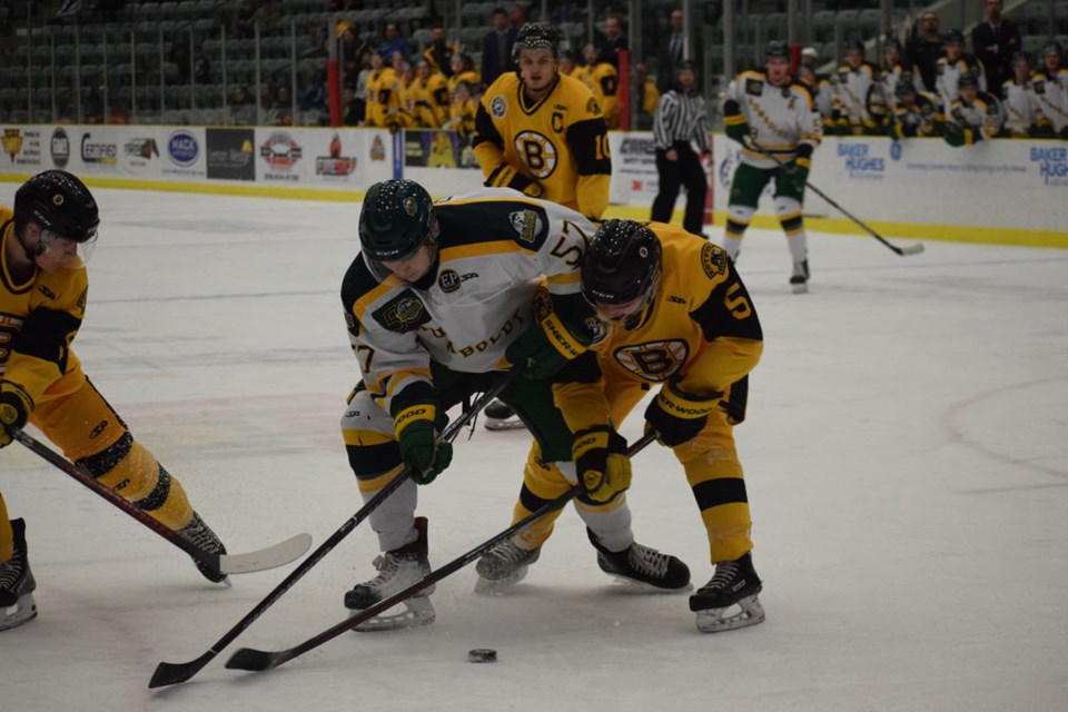 Bruins pic