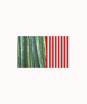 bamboo