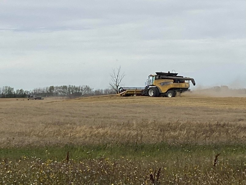 harvest