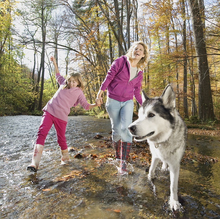 wilderness walks
