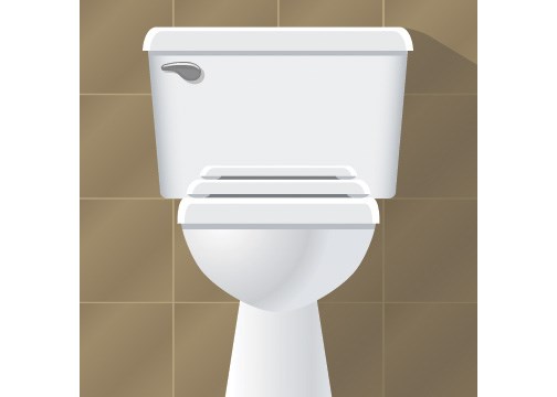 toilet pix